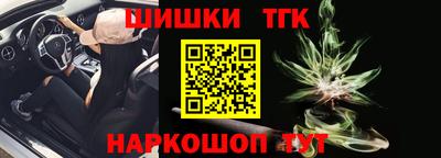 крисы Бийск