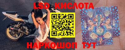 крисы Бийск
