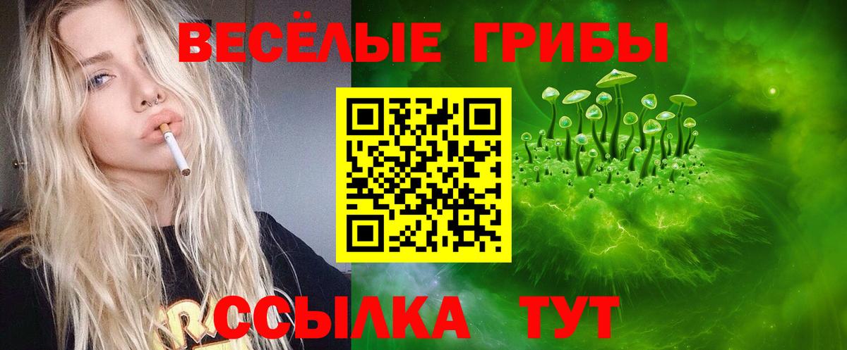 Галлюциногенные грибы ЛСД Заводоуковск