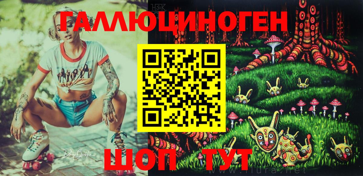 Заводоуковск  Псилоцибиновые грибы GOLDEN TEACHER  Вход с VPN  Псилоцибиновые грибы Magic Shrooms 